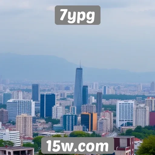 Desempenho financeiro do 7ypg atrai novos investidores